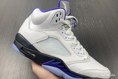 DD0587-141 Fashionable CONCORD Air Jordan5 587 0730